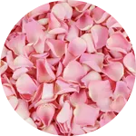 Toggle petals